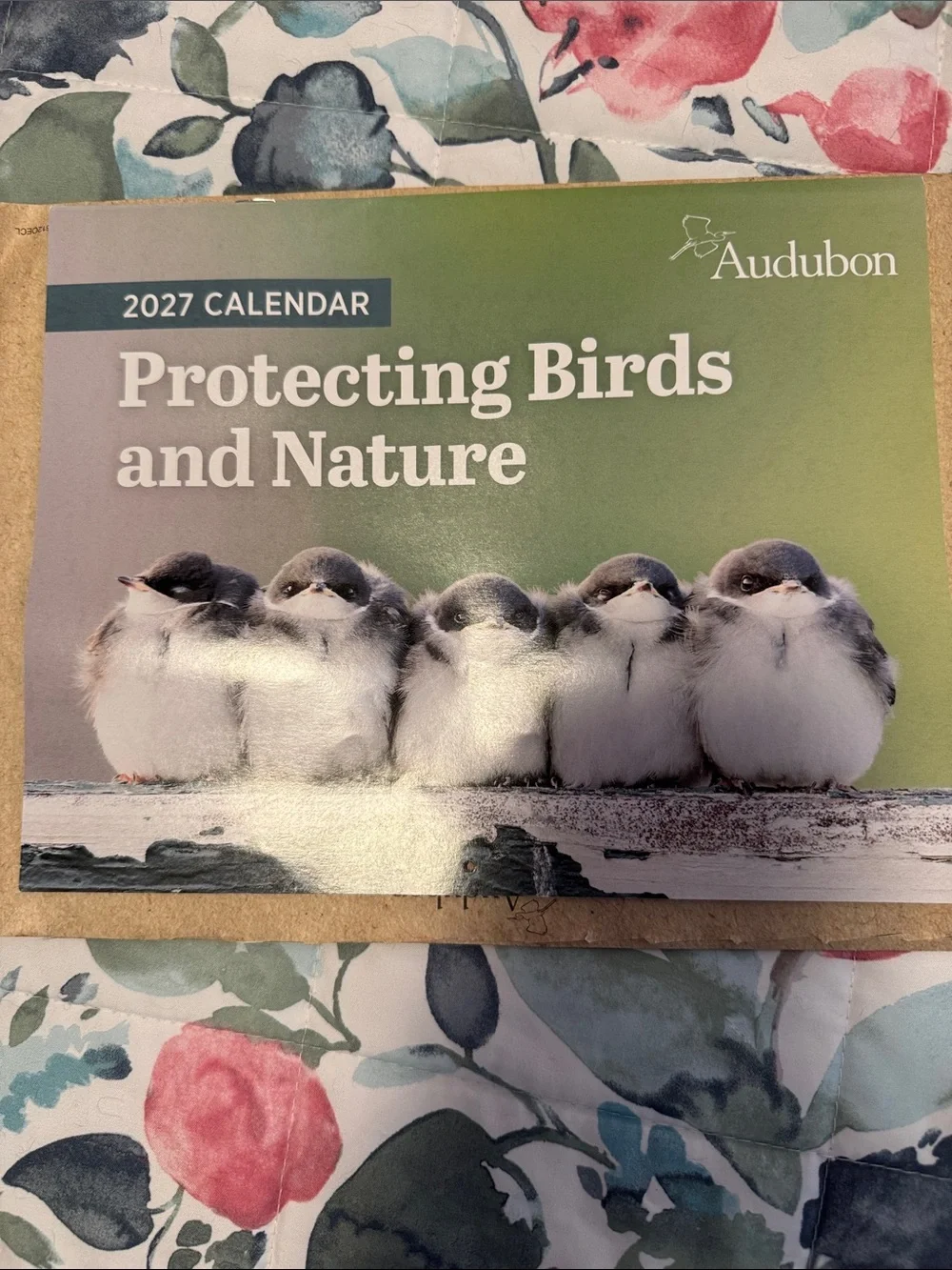 Protecting Birds and Nature 2027 Calendar
